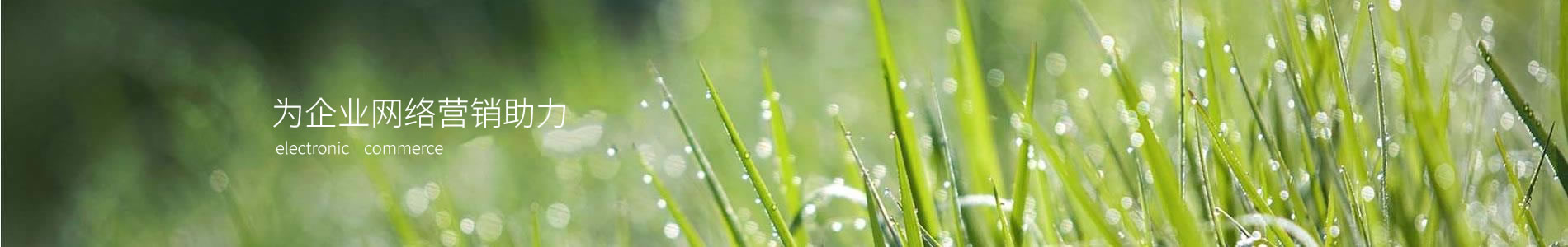 ĳоʢ޹˾